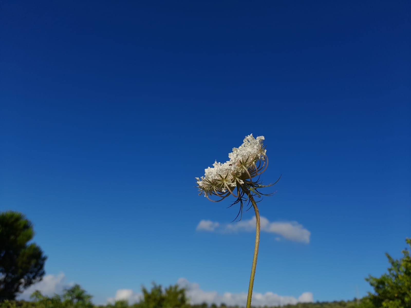 “senza titolo” – foto Rosa Mastrandrea, 2024